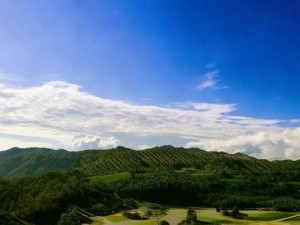 雷电将军的护肤秘籍揭秘 乳液使用技巧与效果分析