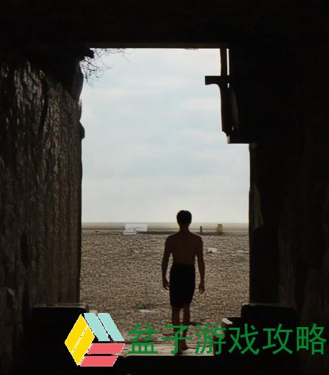 谢文东电视剧全集精彩回顾与人物深度解析，领略热血传奇的风采与情感交织