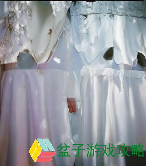 海棠小说网站入口：畅游文学海洋，探索无限精彩故事与创作灵感