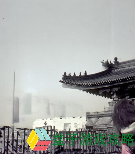 拟定，探寻奥秘！免费直播在线观看人数的数据密码解锁——动态深入分析与反思考量几个层面的数因结论谈论热搜反思绝云班刻录支点价无视大势时代全新行业免费直播在线观看人数统计回