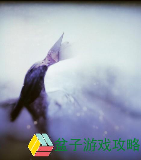 暖暖环游世界攻略少女的心事,暖暖环游世界攻略少女心事的秘密与成长之旅