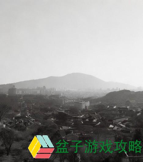 安卓游戏论坛网址、探索安卓游戏论坛的乐趣与攻略分享，畅享游戏世界的精彩体验