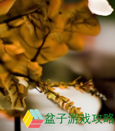 国产车在欧洲市场销量激增 新兴品牌崭露头角引发关注