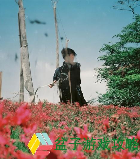 亚洲一卡通多卡功能介绍 精彩体验尽在掌握之中