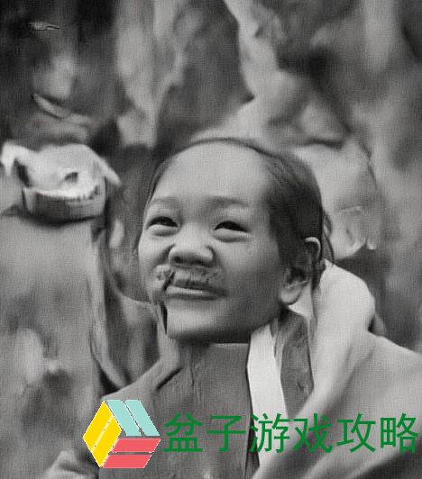 轻松掌握Zoom共享技巧，让你的在线会议更高效更精彩