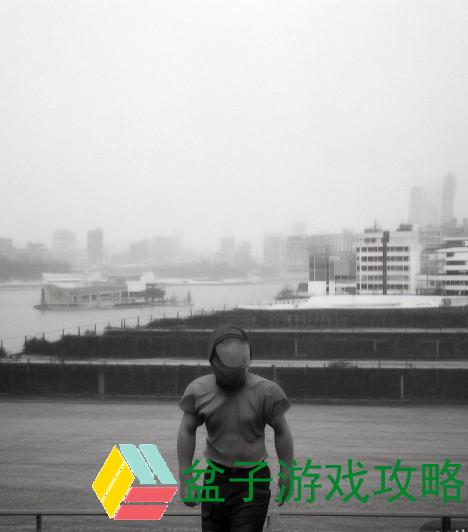 =华丽的分割线=以下进入章节分析=随便写法开头例一