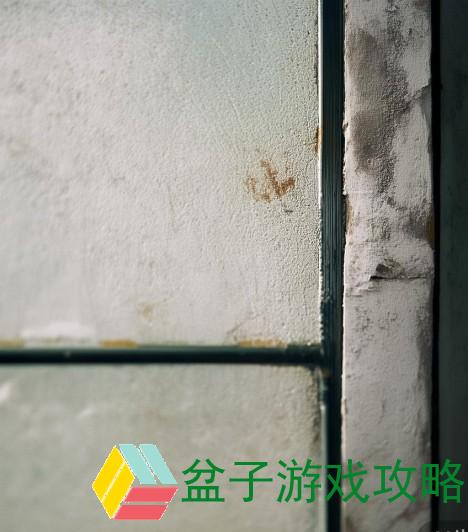 基于所提供的网址和您的要求，我将为您拟定一个标题并撰写一篇关于该网址的视频内容的文章。以下是我的建议