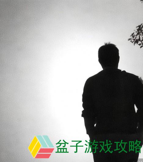 以揭秘网址，jiayingkj.com的视频内容探讨为中心的中文文章标题拟定如下